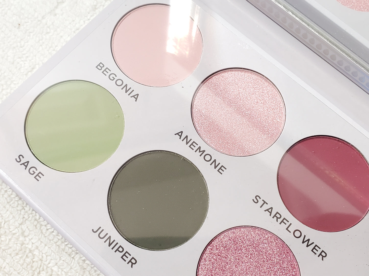 The Violet Sage Palette by Ace Beauty Eyeshadow Multicolor New in Box
